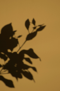allec-gomes-QBPBvQDcMZA-unsplash-min (1)