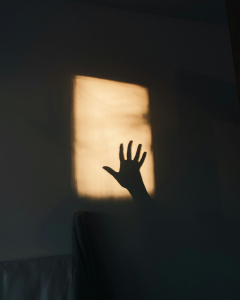 joss-X8arYHT-zJI-unsplash